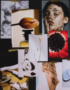 DIX SEPT PARIS AGENCE BRAND CONTENT DE L'ANNÉE