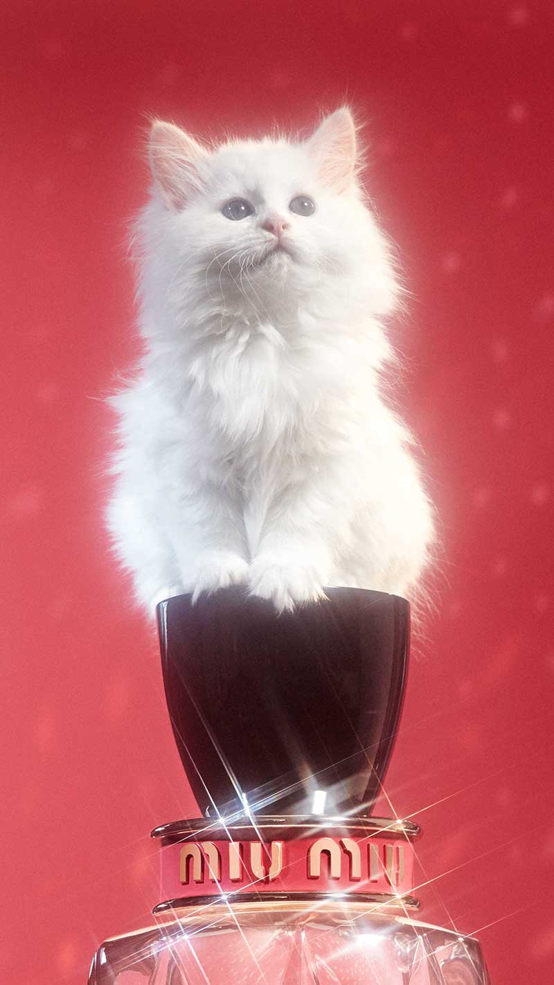 communication strategy