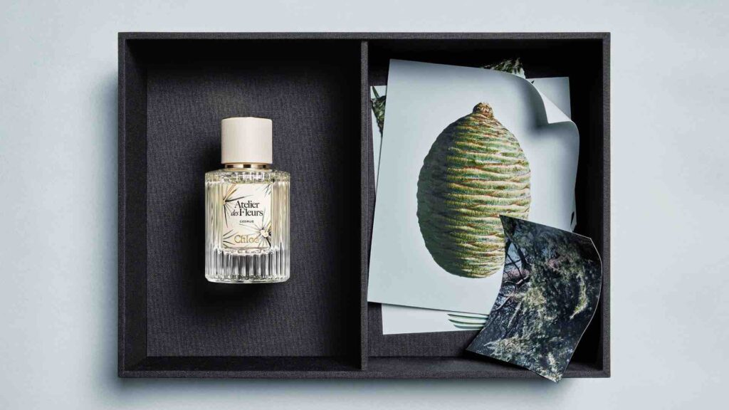 Chloé Cedrus Limited Edition – campaign ingredients visual
