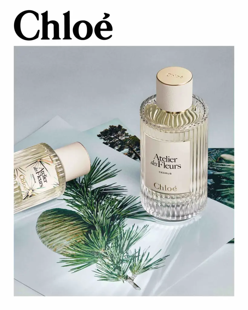 Chloé Cedrus Limited Edition – Range visual