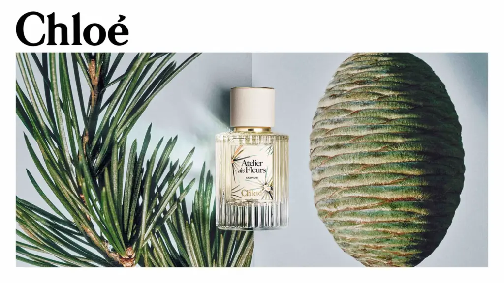 Chloé Atelier des Fleurs Cedrus Limited Edition digital campaign