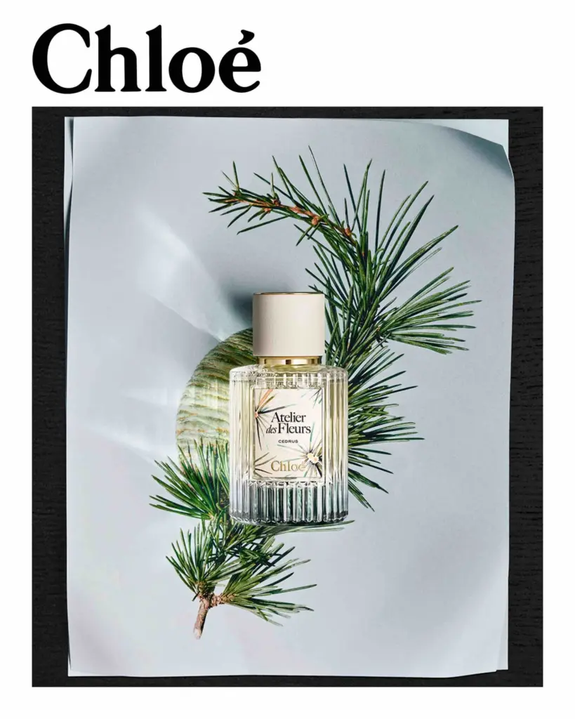 Cedrus Limited Edition by Chloé – campaign visual