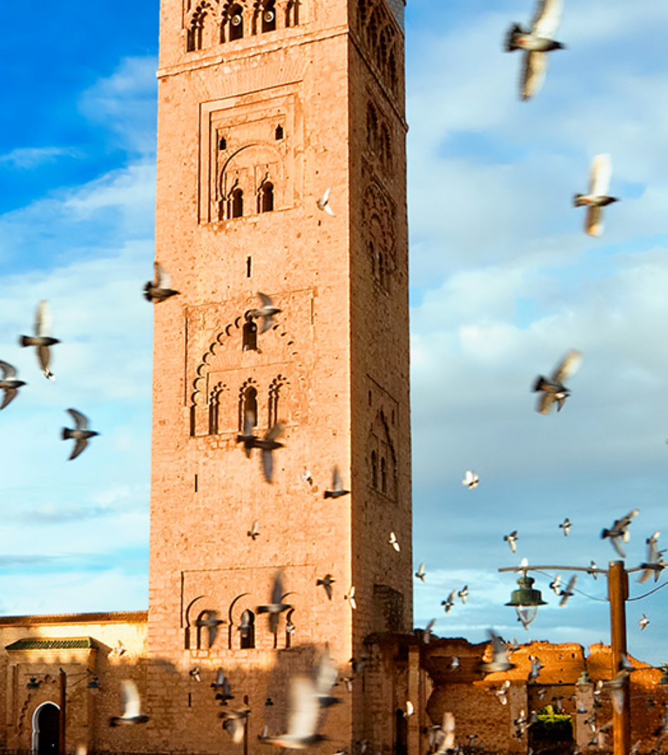 Agence communication Marrakech